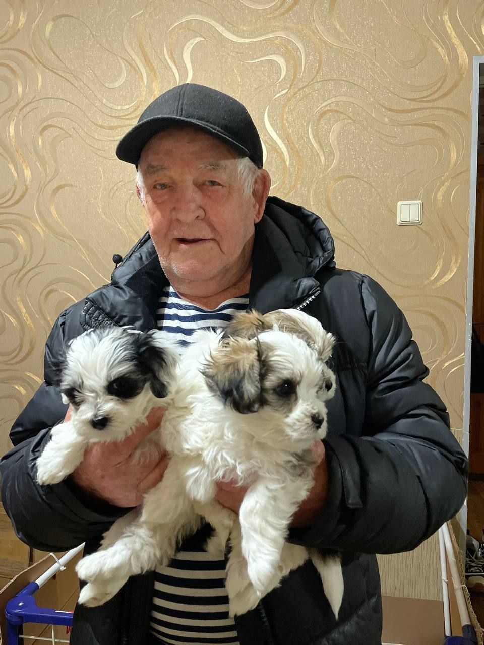 декоротивная порода.